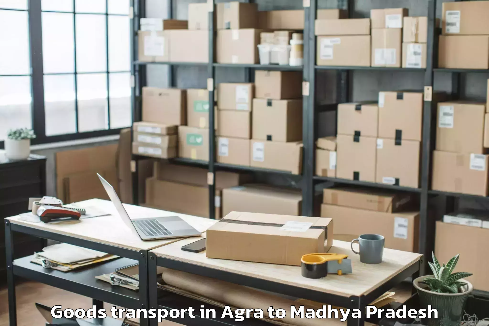 Professional Agra to Kalapipal Goods Transport